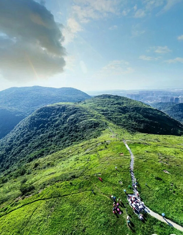 西塞山区人民政府